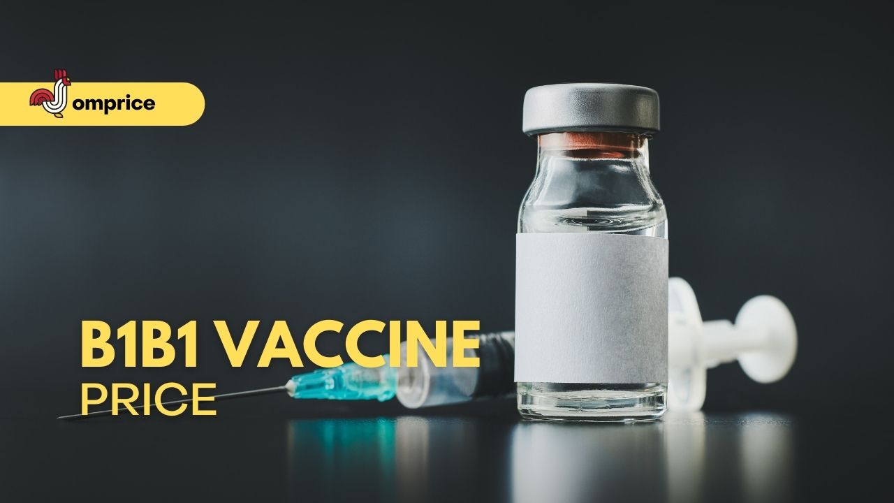 B1B1 Vaccine Price Philippines 2024   COver B1B1 Vaccine Price In Philippines Jomprice 