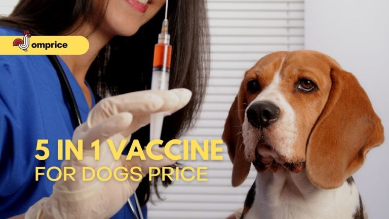 Cover 5 in 1 Vaccine for Dogs Price in Philippines Jomprice
